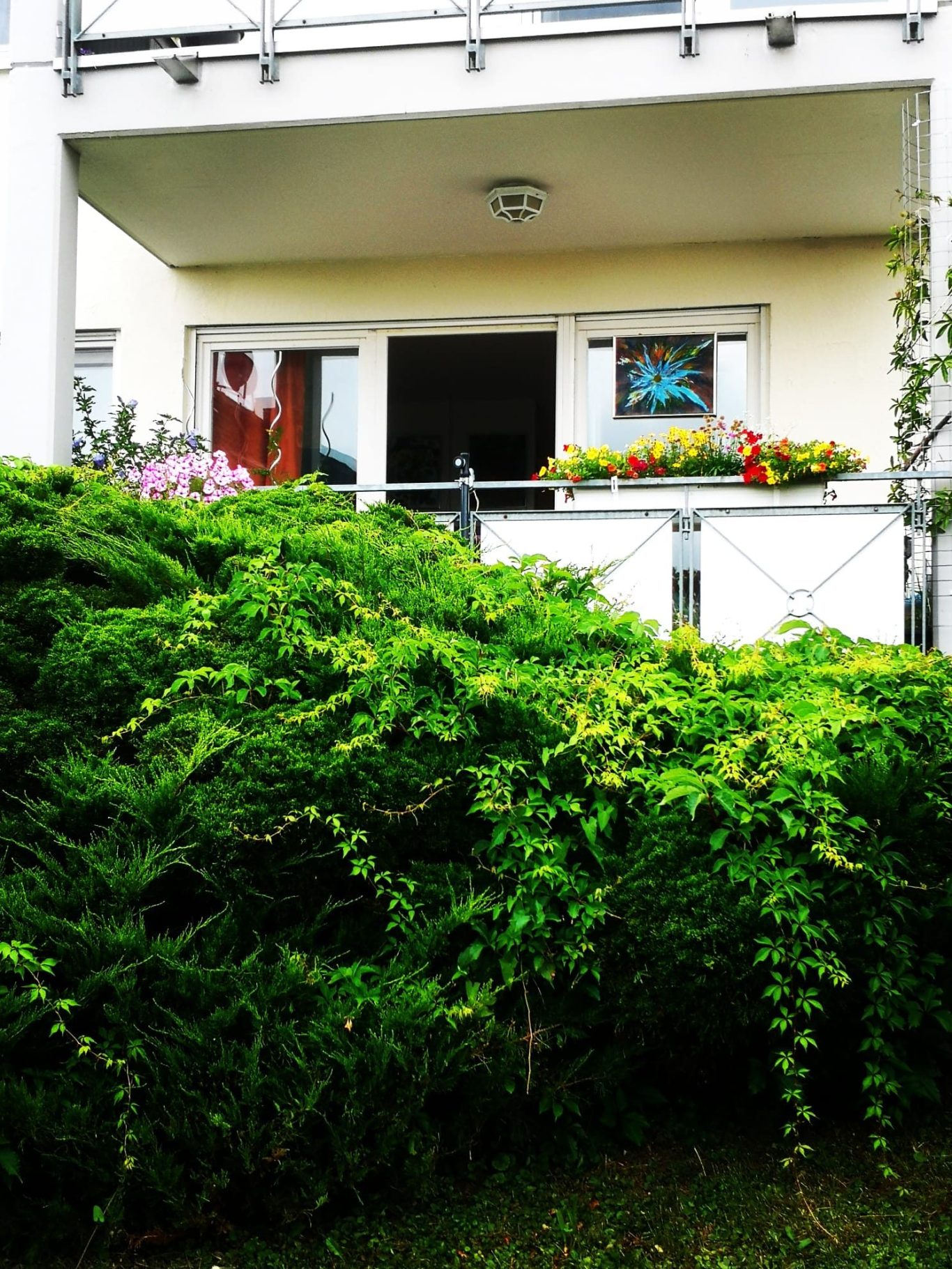 Mein "Sommer-Atelier"